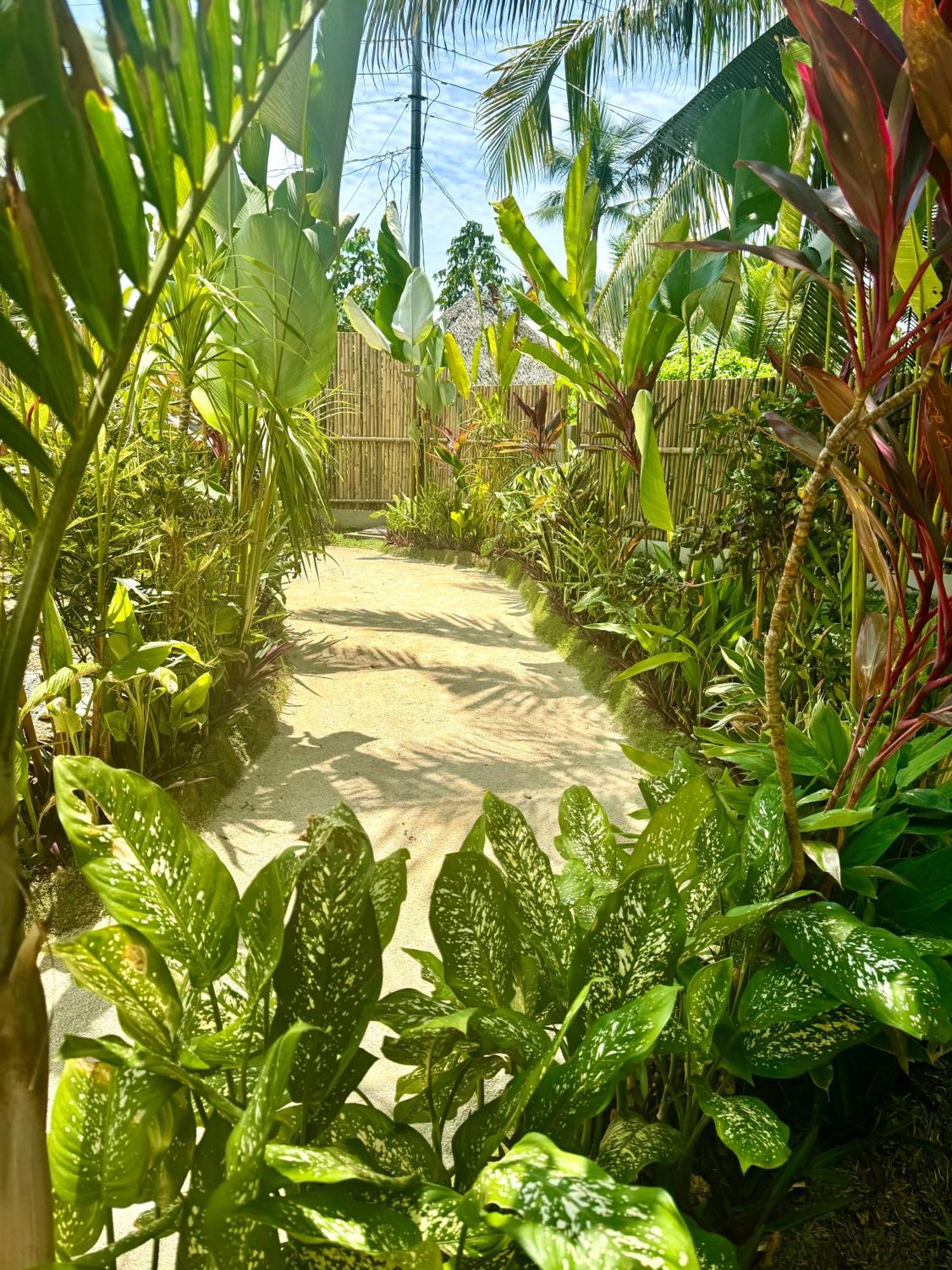 Villa Pura Vida Apartments Siargao General Luna  Eksteriør billede